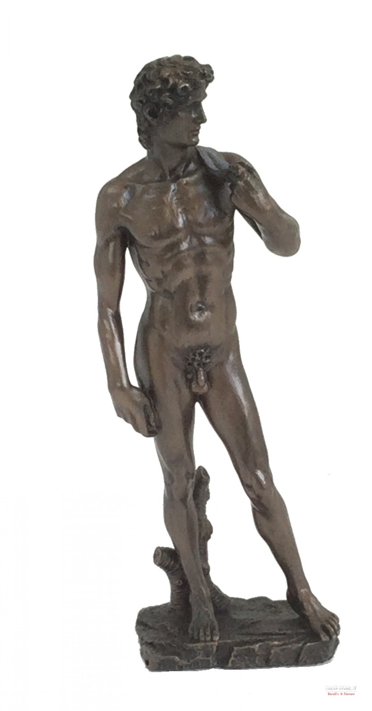 Statuina DAVID by Michelangelo